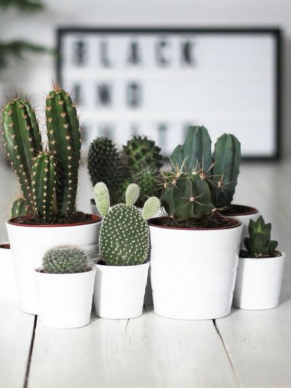 6 tendências de decoração para 2019