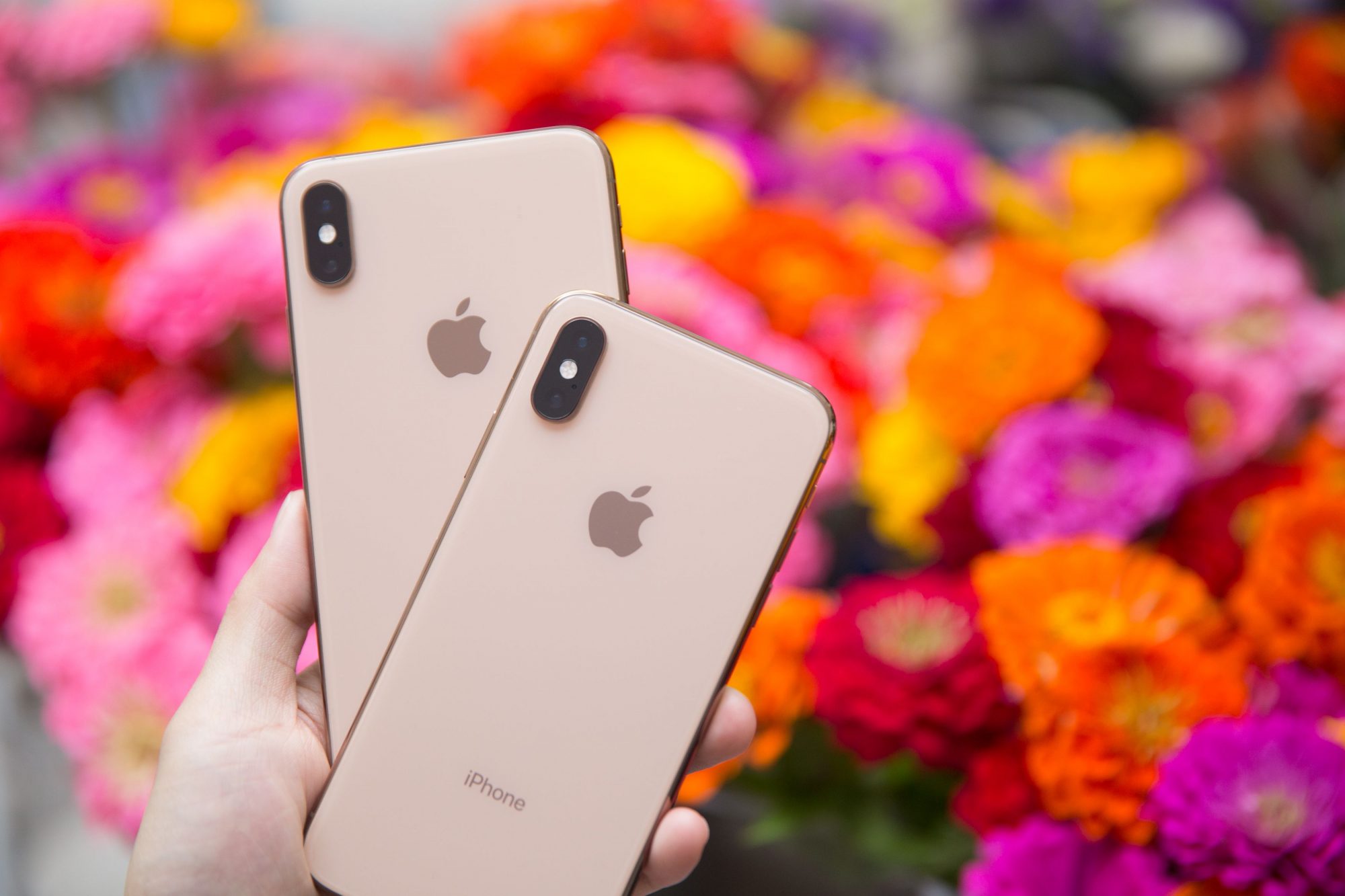 Apple alerta que não deve nunca ter o iPhone a menos de 15 centímetros do peito. Saiba porquê