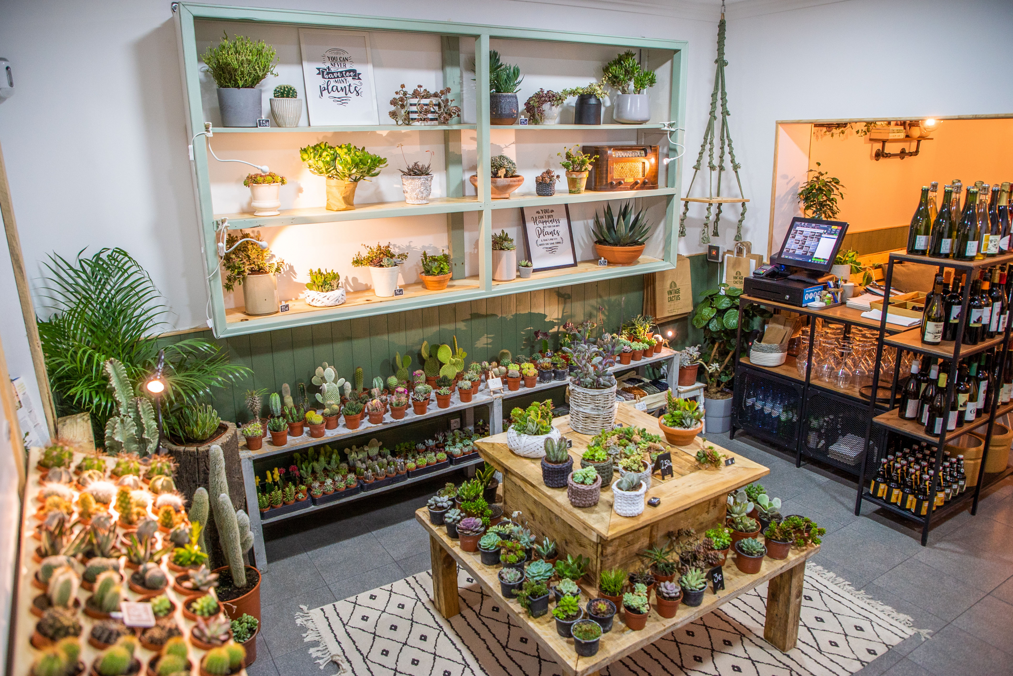 Esteva. A cafetaria onde cabem tostas vegan, catos e suculentas