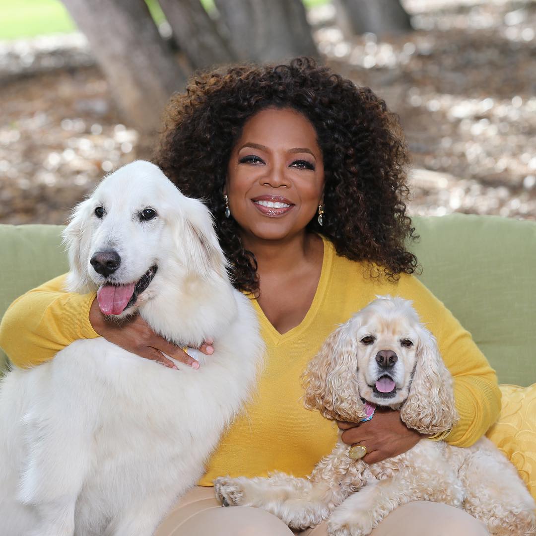 Oprah Winfrey completa 67 anos. Veja as 67 fotos mais inspiradoras da apresentadora