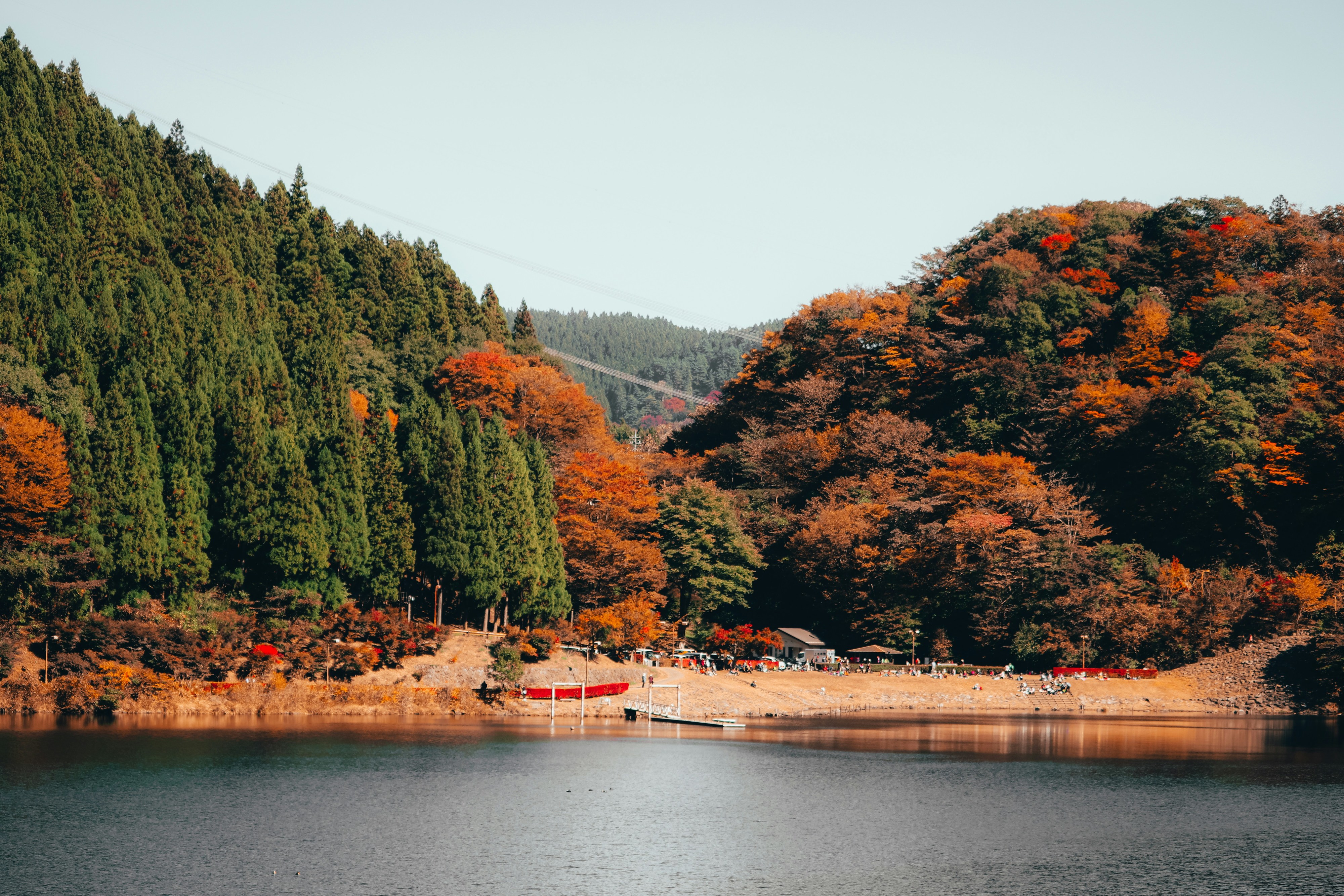 Japão 