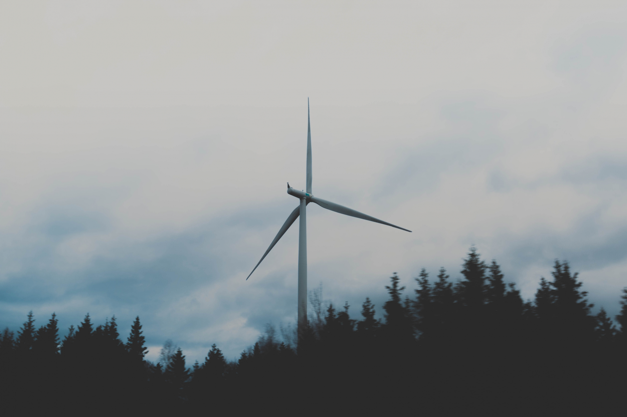 Será que Portugal vai declarar estado de emergência climática?