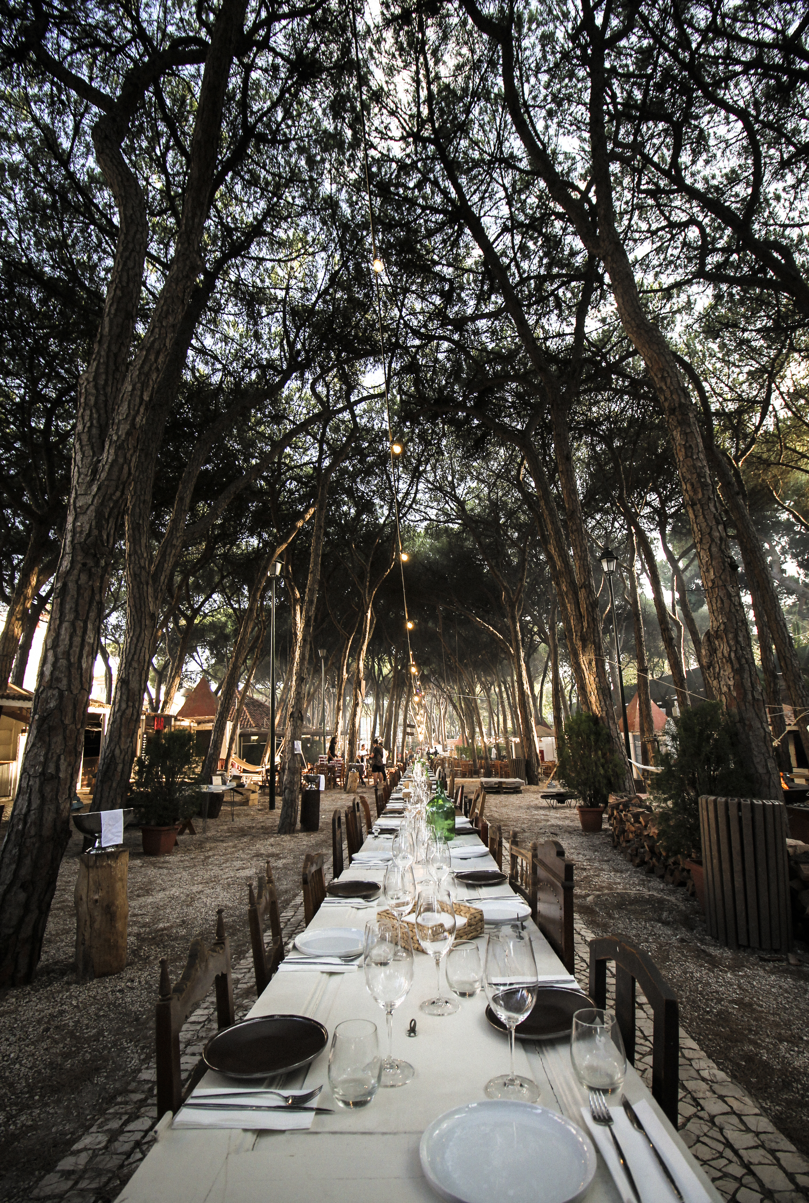 Chefs on Fire. Cascais vai receber um festival com música, comida com estrelas Michelin e cerveja