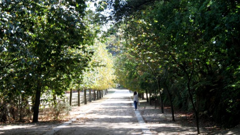 Férias no Porto. O que fazer? Sugestões para aproveitar a cidade