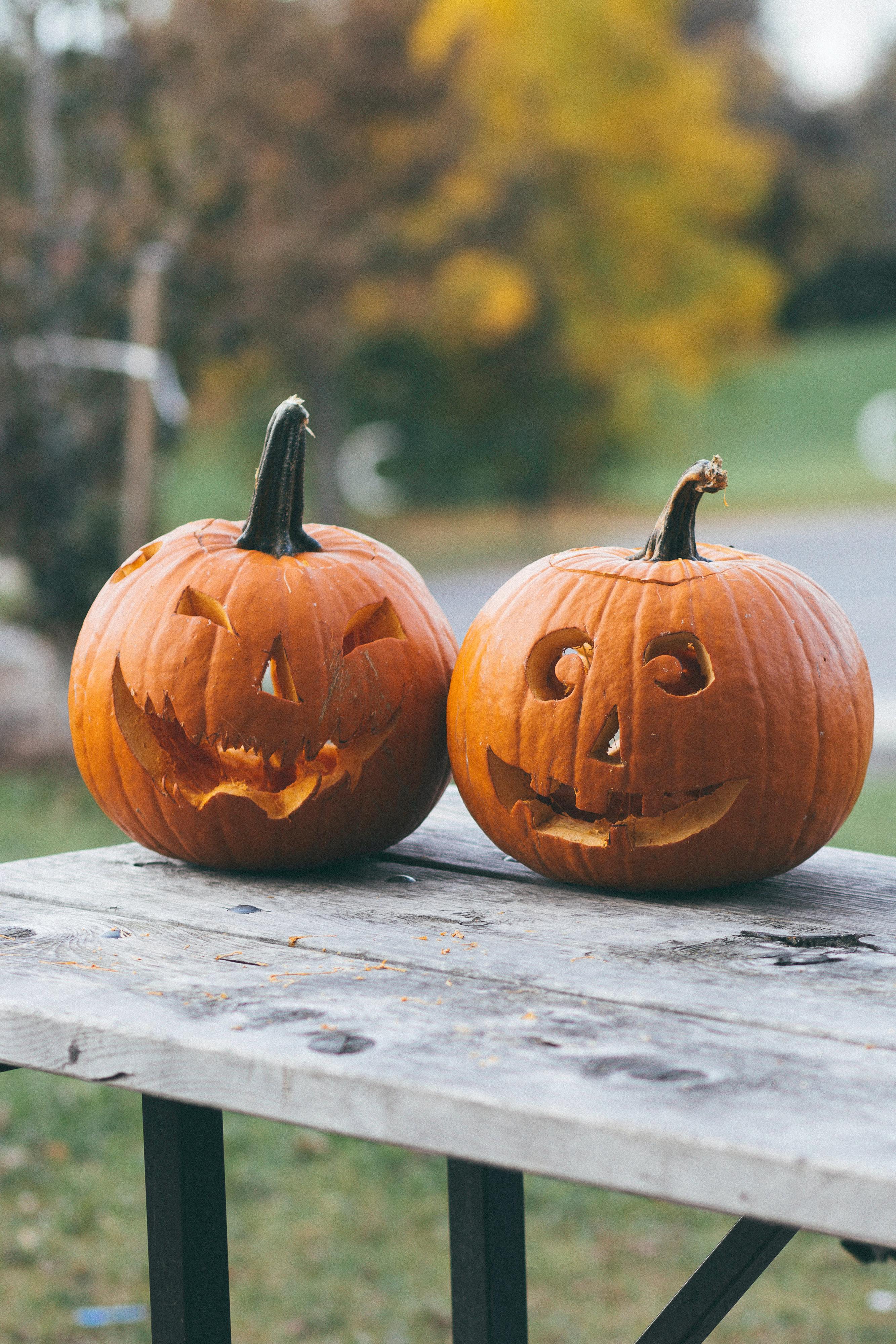 Planos para o Halloween? Vá a este jantar amaldiçoado que até tem um caldeirão mágico para os miúdos
