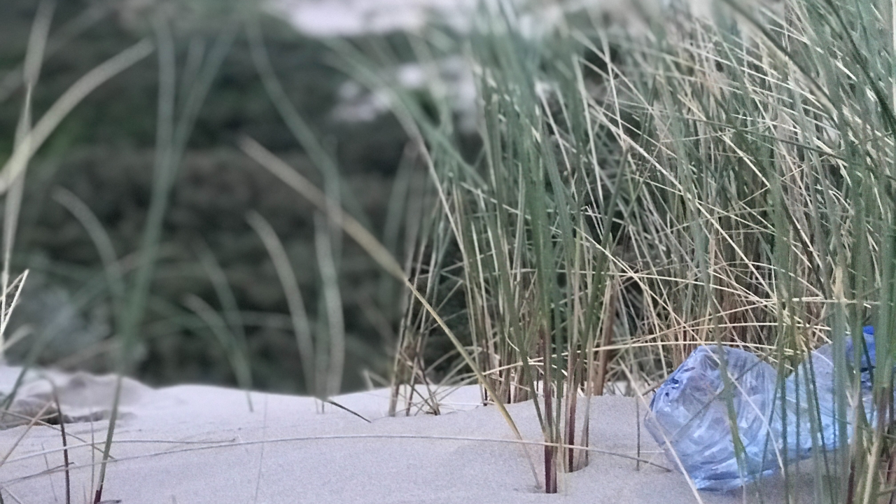 Este sábado, 26, a  iniciativa limpar a praia vai estar na Praia Nova, na Costa da Caparica.
