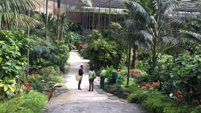 8 jardins que vai poder conhecer de borla este fim de semana (e as suas histórias incríveis)