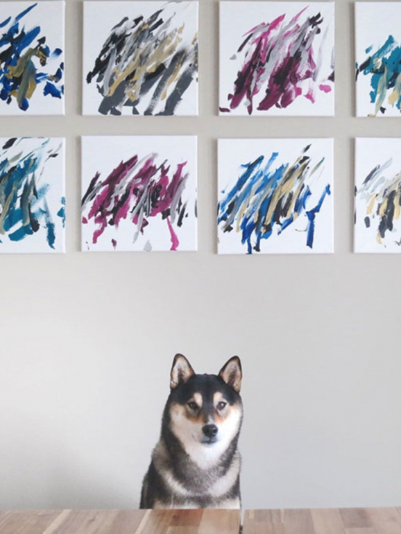 A faceta artística deste cão surgiu por acaso mas conquistou os utilizadores das redes sociais
