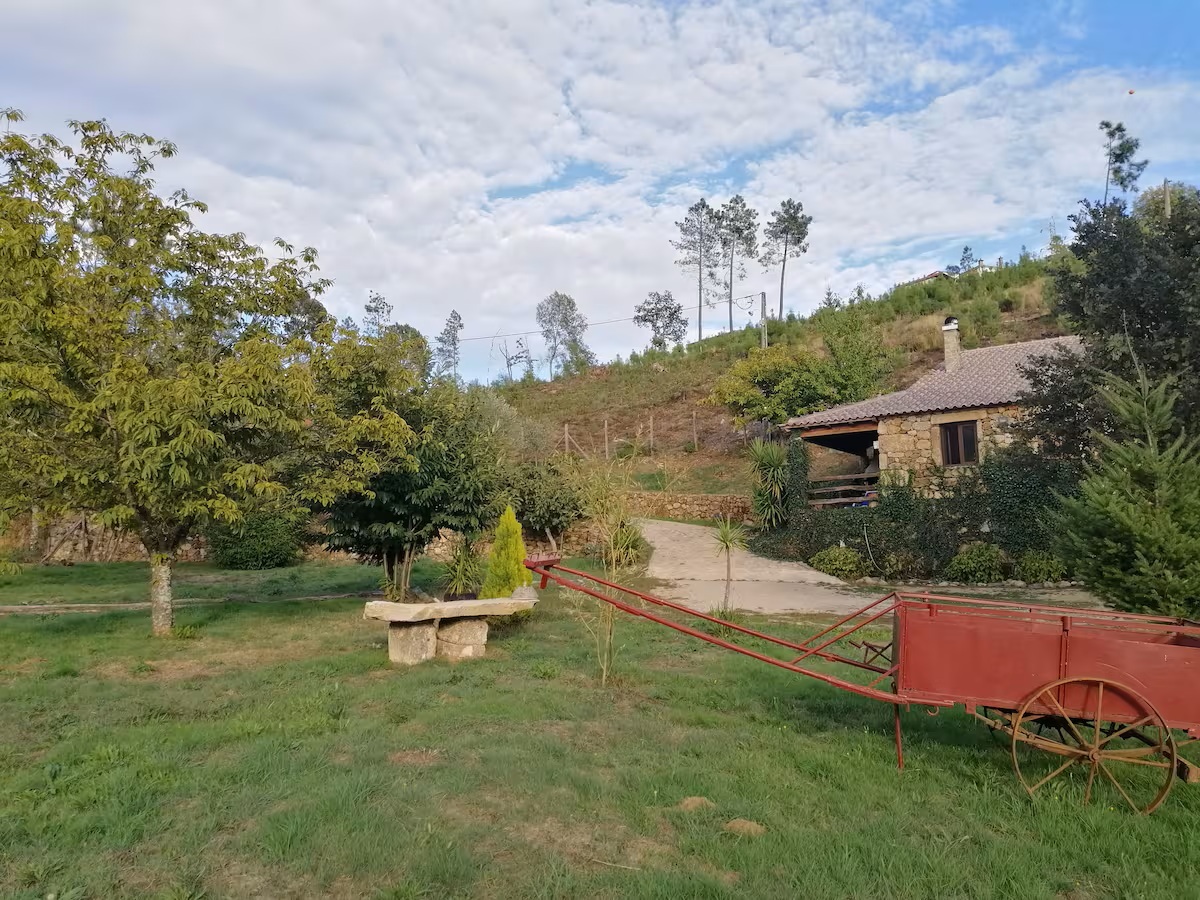 9 - Quinta do Pé Longo (cortes do meio)
