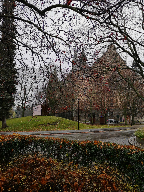 Djurgården