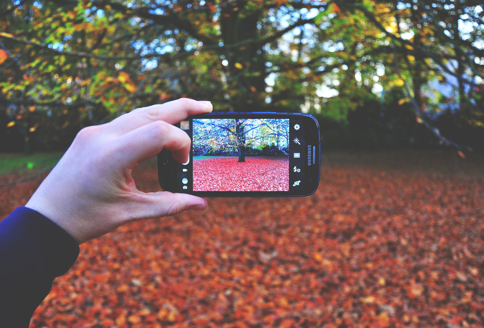 8 dicas para tirar fotos incríveis com o telemóvel