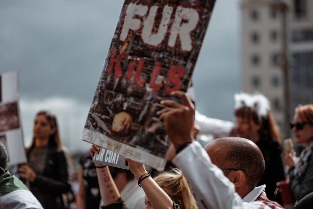 PETA divulga imagens chocantes sobre o fabrico de malas Louis Vuitton. Será esta a melhor estratégia?