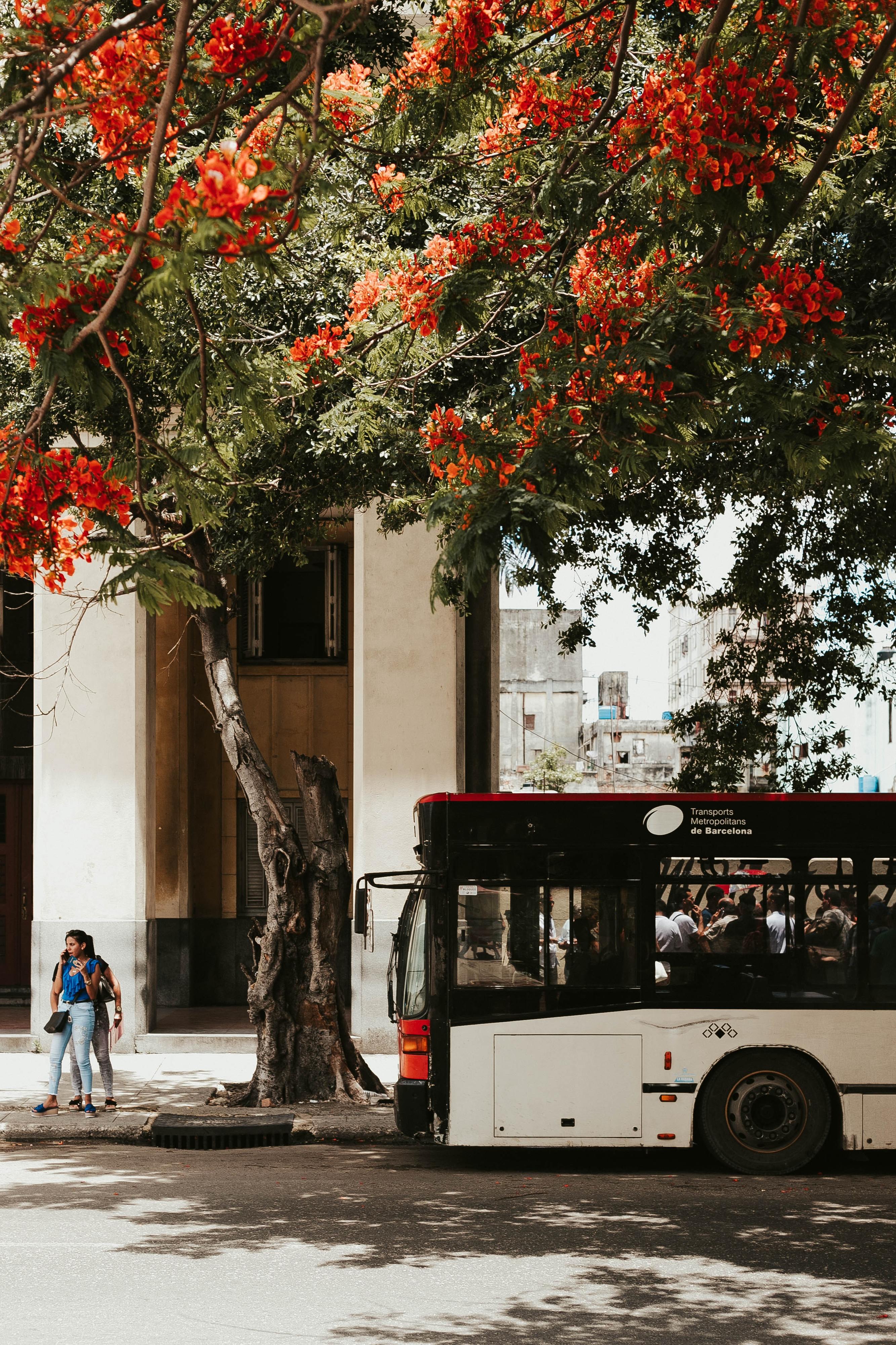 Viagens para Espanha a partir de 0,99€ na Flixbus