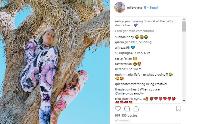 Miley Cyrus sobe a árvore de Josué e é alertada para os riscos