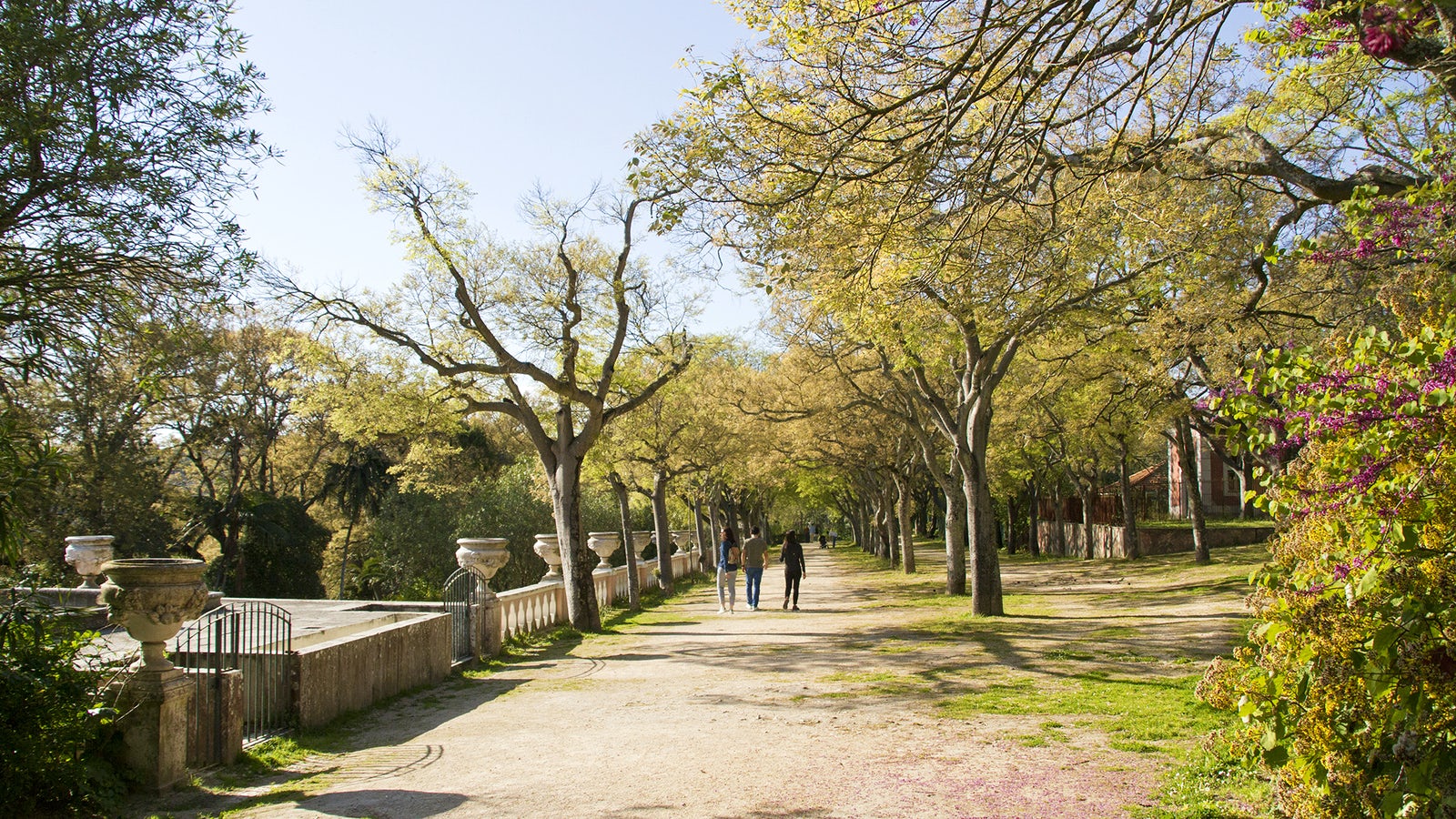 Jardim da Tapada das Necessidades em Lisboa Jardim da Tapada das Necessidades em Lisboa