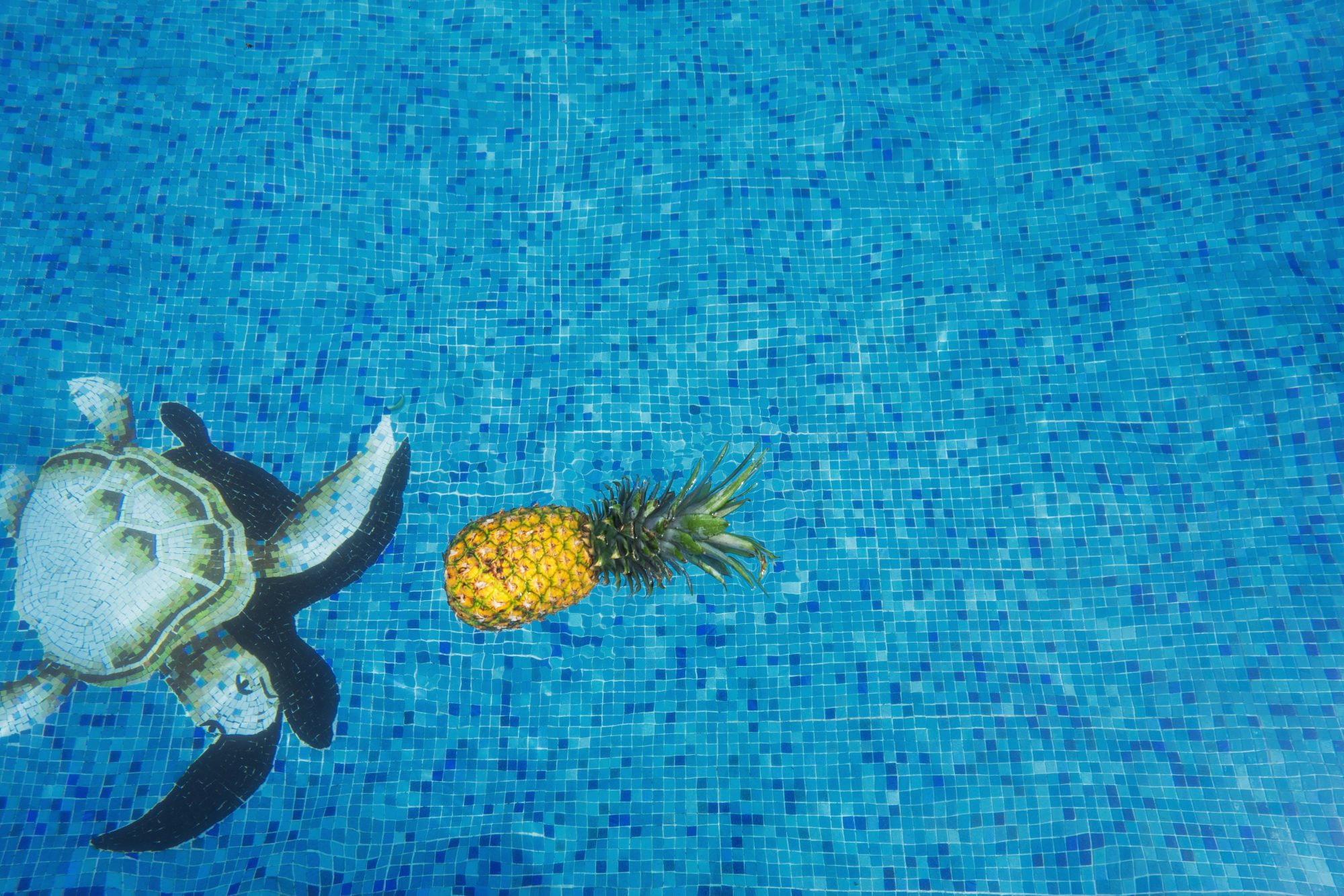 Ananás emagrece? Laranja à noite faz mal? 9 mitos sobre fruta que nos fazem repetir mentiras