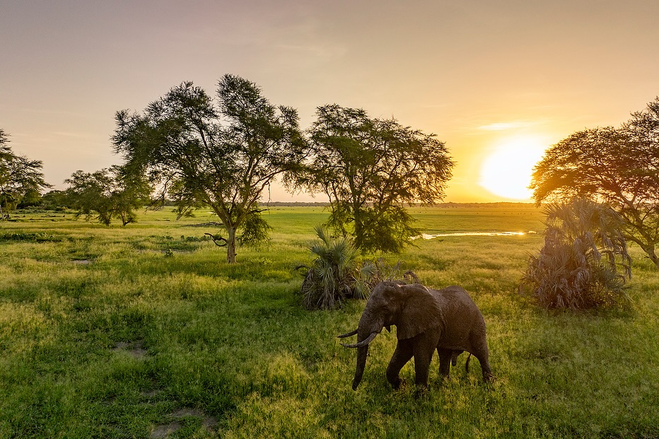 Parque Nacional da Gorongosa (Moçambique) Parque Nacional da Gorongosa (Moçambique)