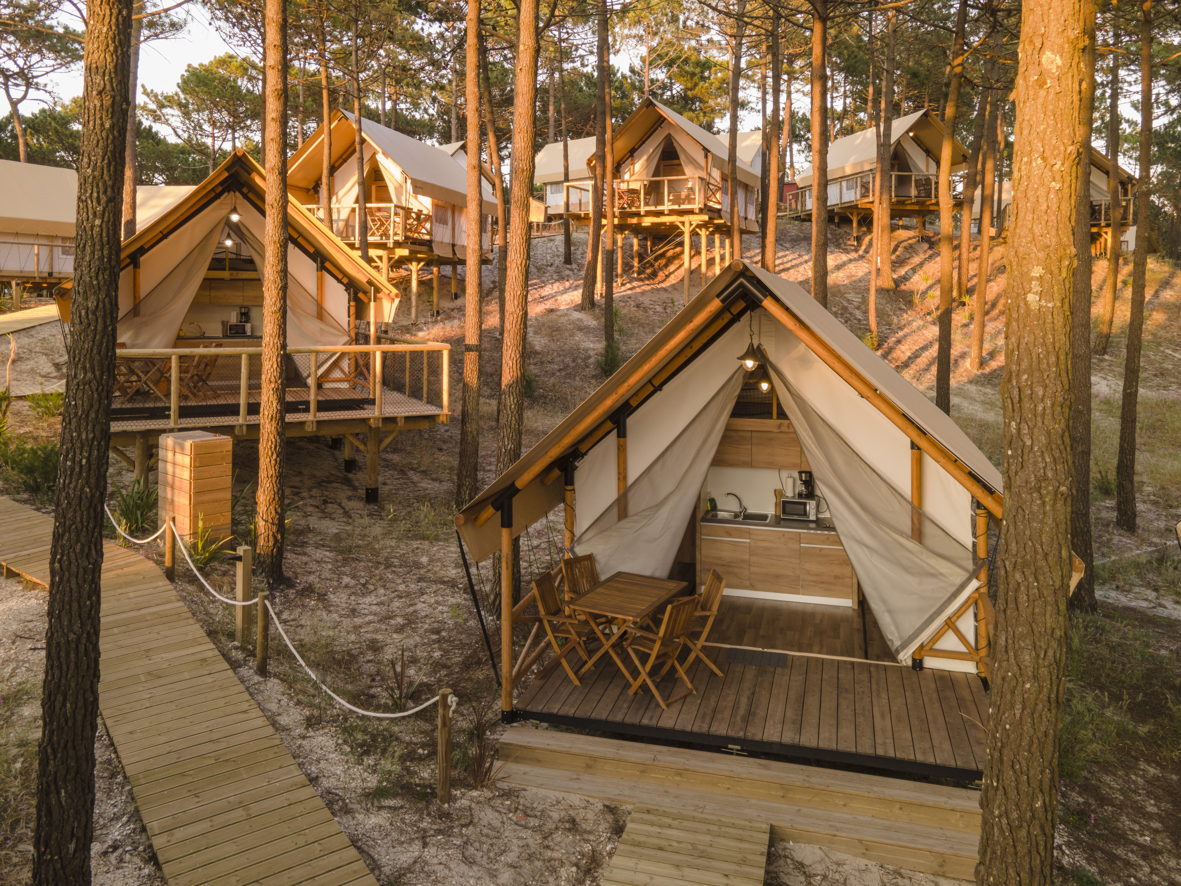 Resort na Nazaré convida os animais de estimação a passarem férias com a família Resort na Nazaré convida os animais de estimação a passarem férias com a família