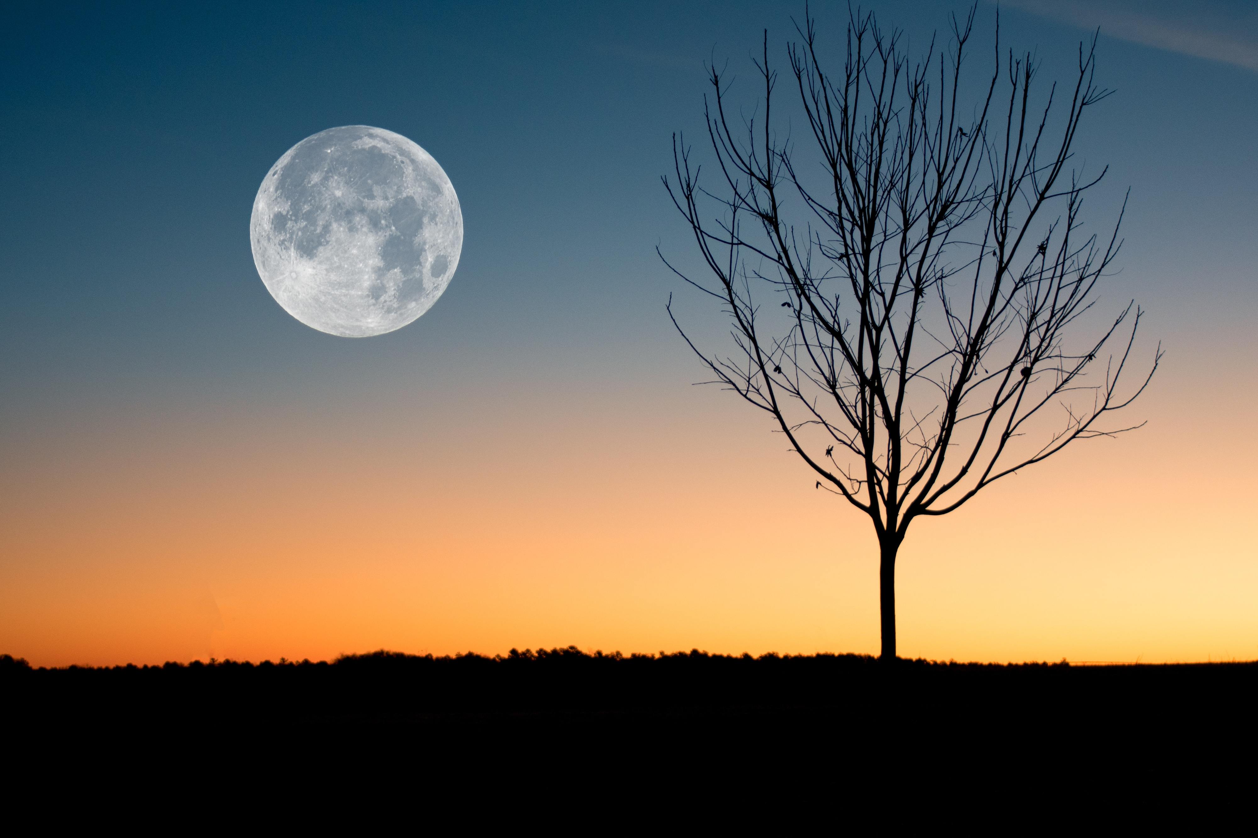 Este fim de semana olhe para o céu — vem aí uma super lua