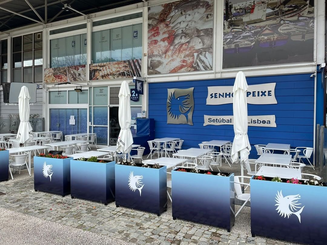 De Matosinhos a Tavira, delicie-se com um belo peixe grelhado nestes 5 restaurantes