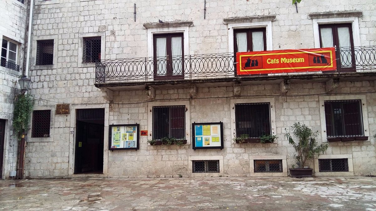 Museu dos gatos