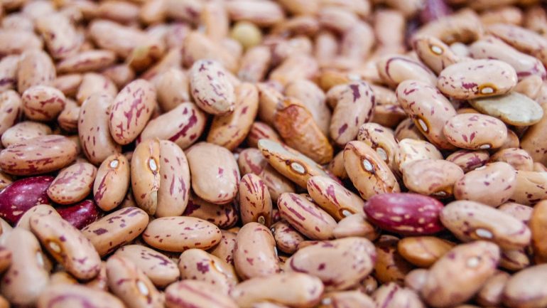 Alimentos que duram uma década (ou muito mais) na despensa