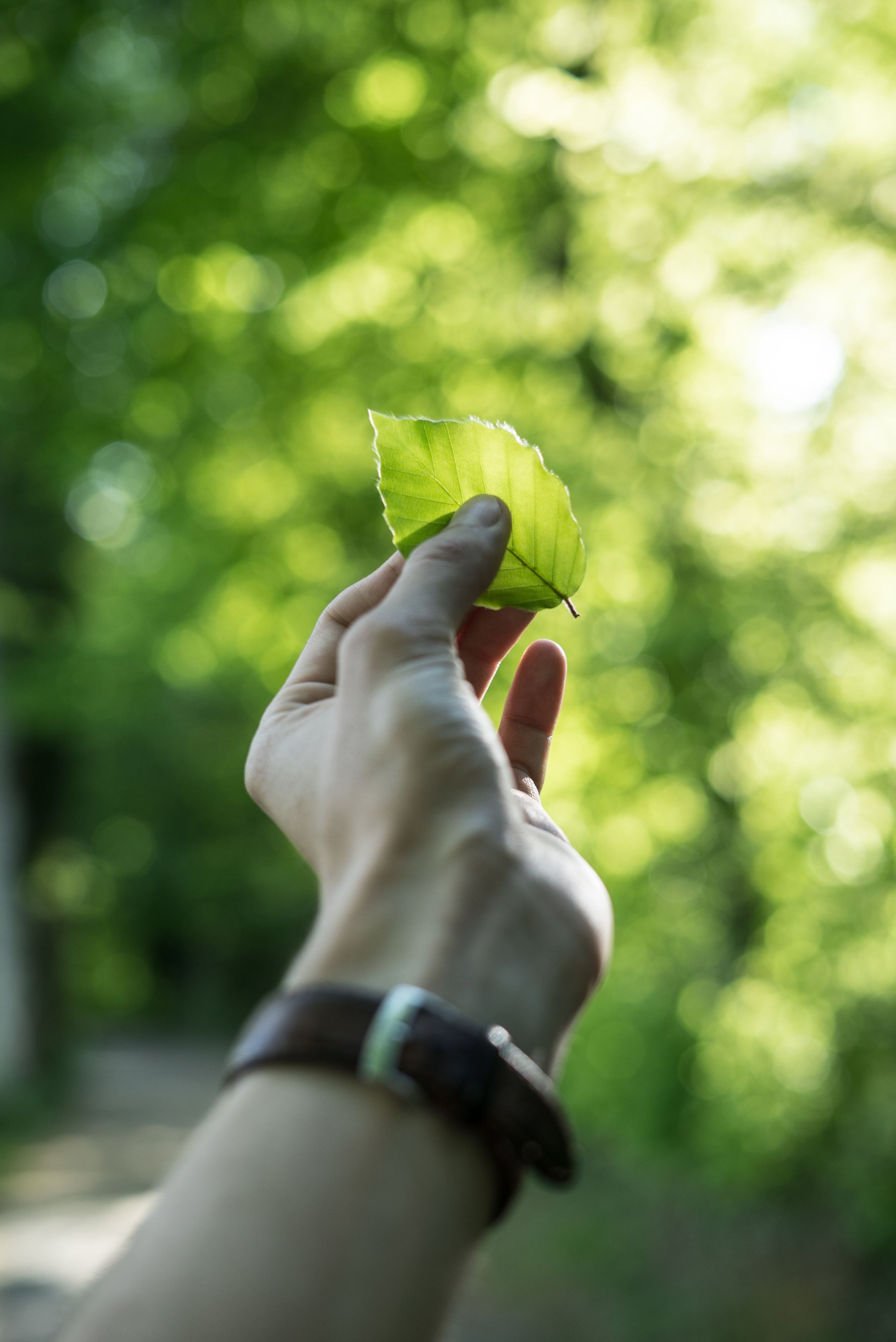 Quer saber qual a sua pegada ambiental? Use esta calculadora