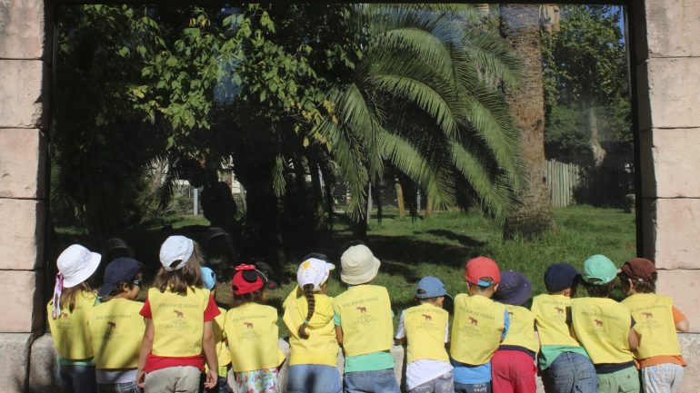 Grupos de crianças em edições anteriores dos Ateliers do Jardim Zoológico