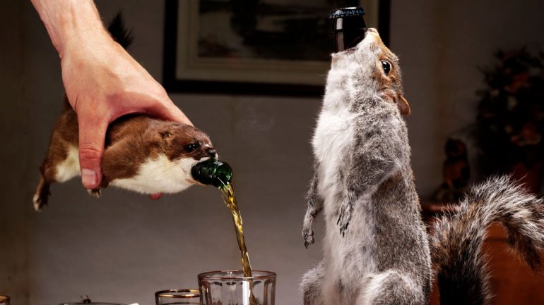 Dia Internacional da Cerveja. 15 factos desconhecidos
