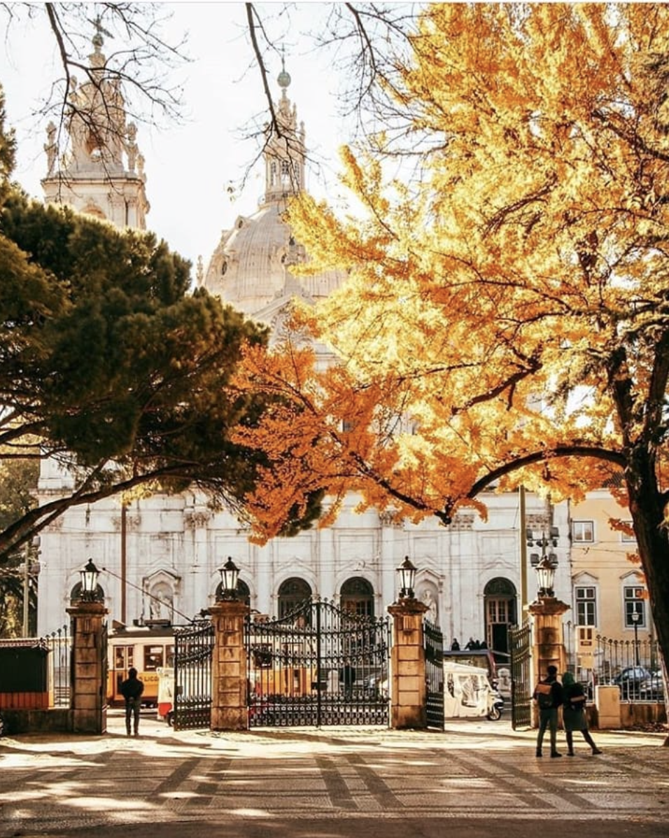 Jardim da Estrela em Lisboa Jardim da Estrela em Lisboa