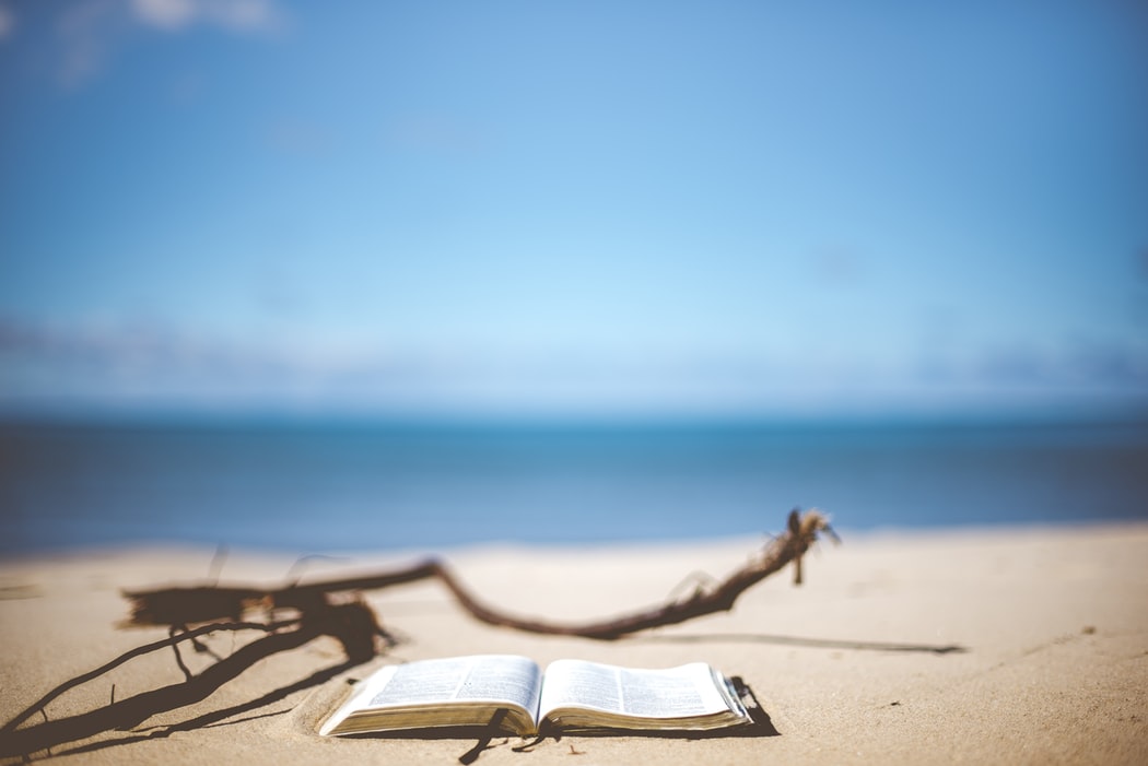 8 novidades para ler nas férias (ou nos fins de semana passados no areal)