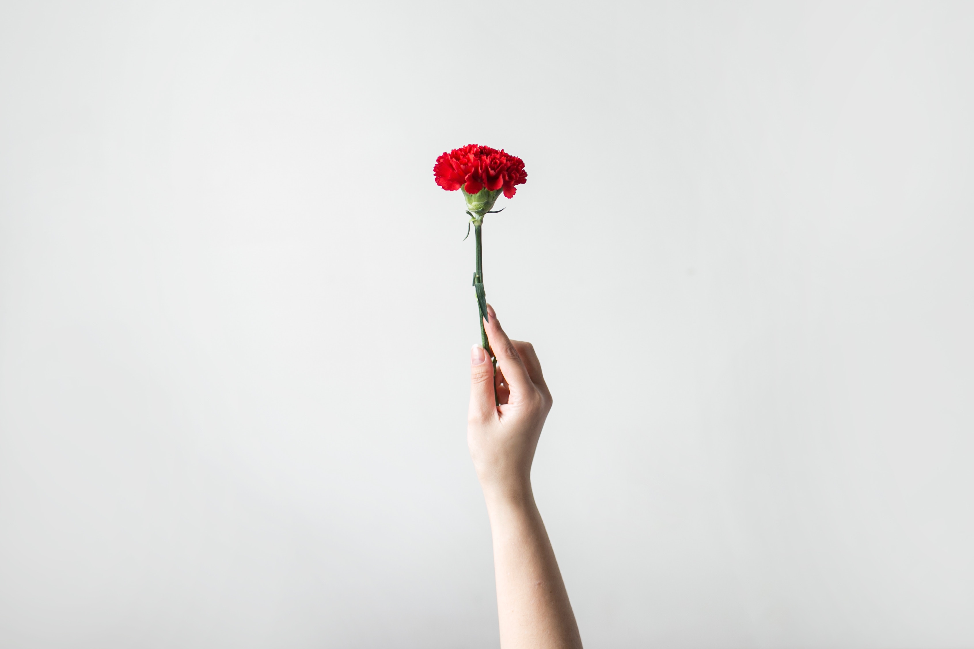 Para os políticos, celebrar o 25 de abril é mais importante do que eu ir ao funeral da minha avó