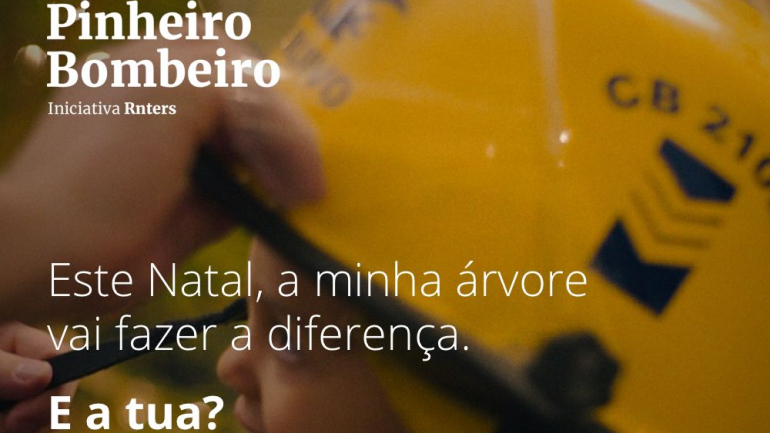Da corda gigante da Avenida da Liberdade ao Pinheiro Bombeiro. 8 iniciativas solidárias para ajudar