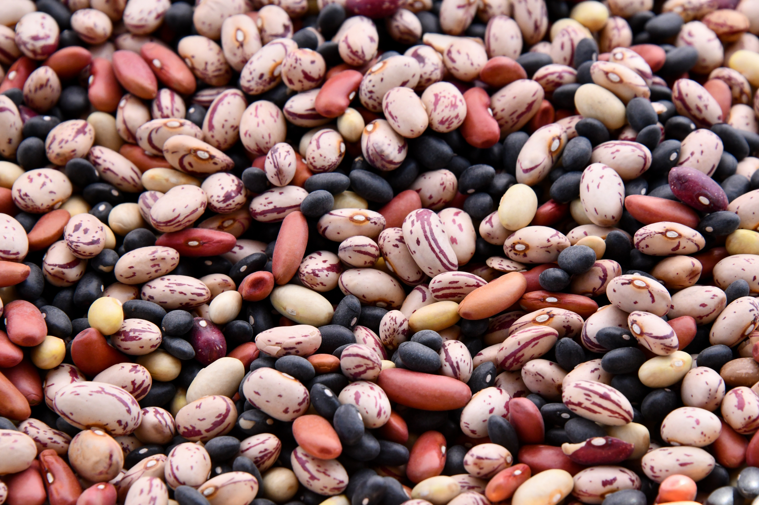 Antinutrientes. Este é o motivo por que alguns alimentos saudáveis o deixam mal-disposto
