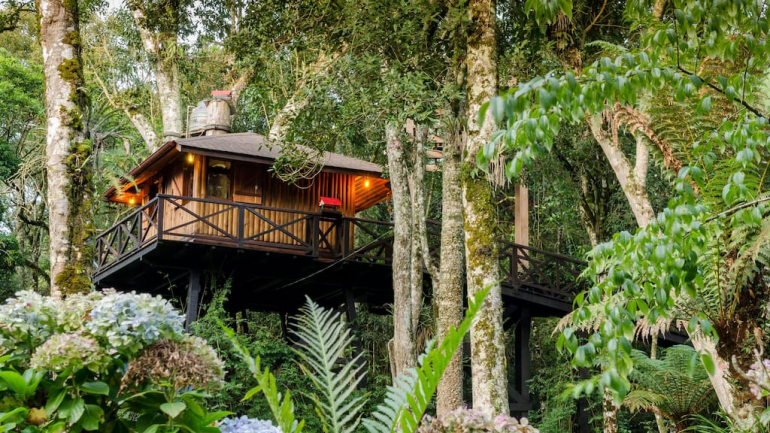 Casa na Árvore em Monte Verde, no Brasil