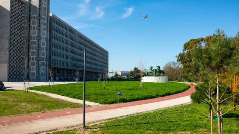 A zona onde está instalado um prado biodiverso, junto ao antigo Palácio de Justiça, em São Sebastião