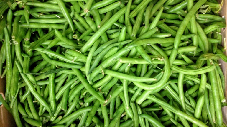 Plano da semana. 5 receitas com leguminosas para um veganuary de sucesso