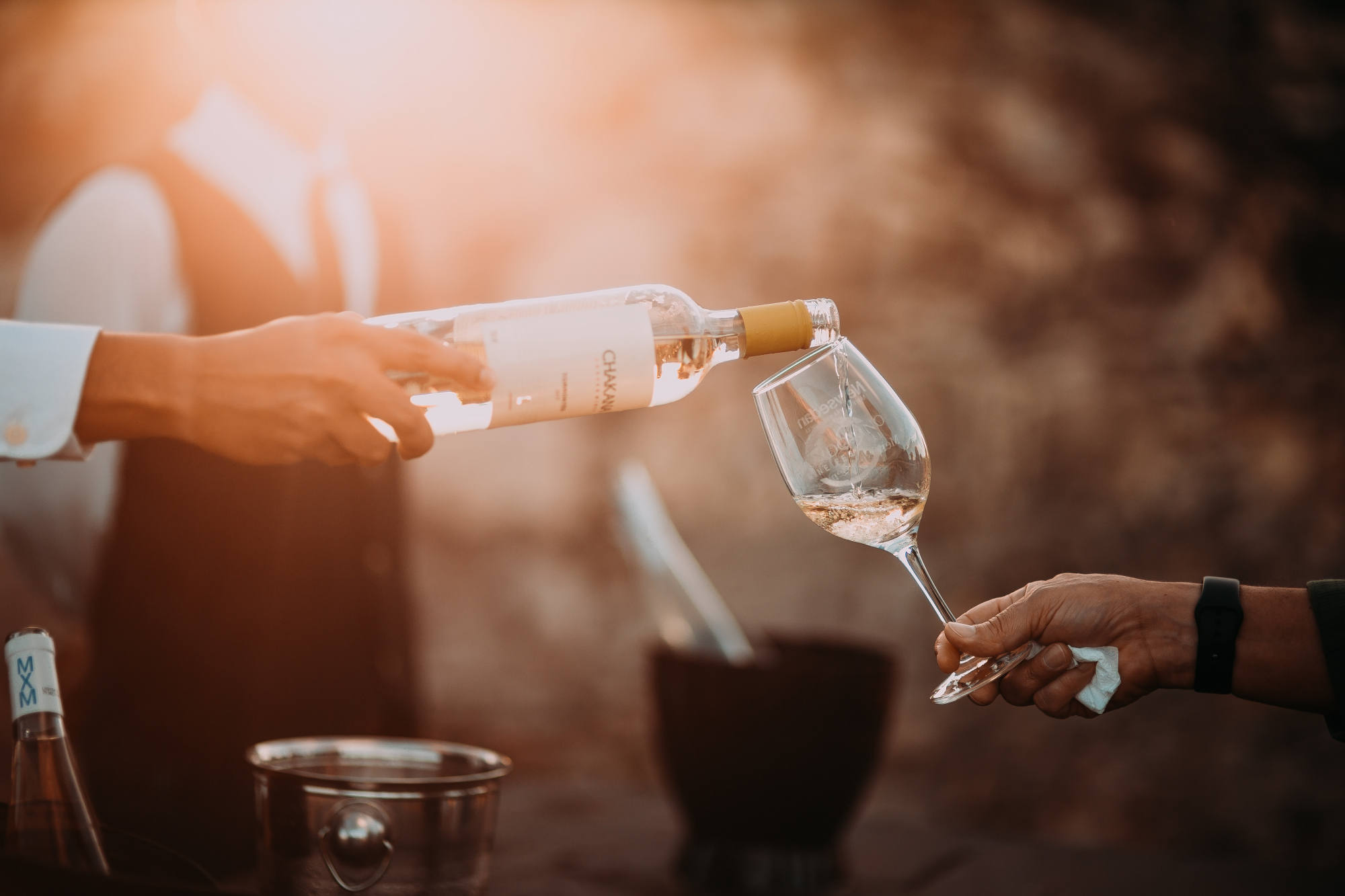 Quiz. Quão conhecedor de vinho é realmente? Faça o teste