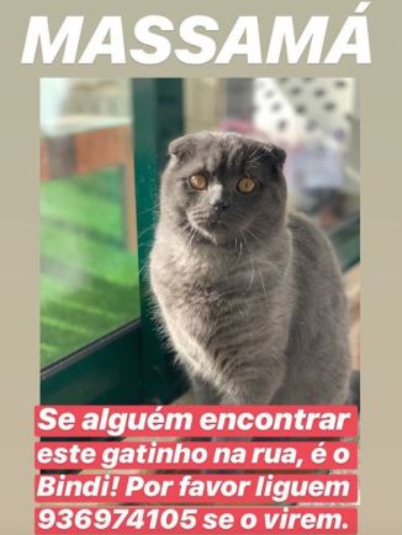Este é o apelo que está a correr nas redes sociais 