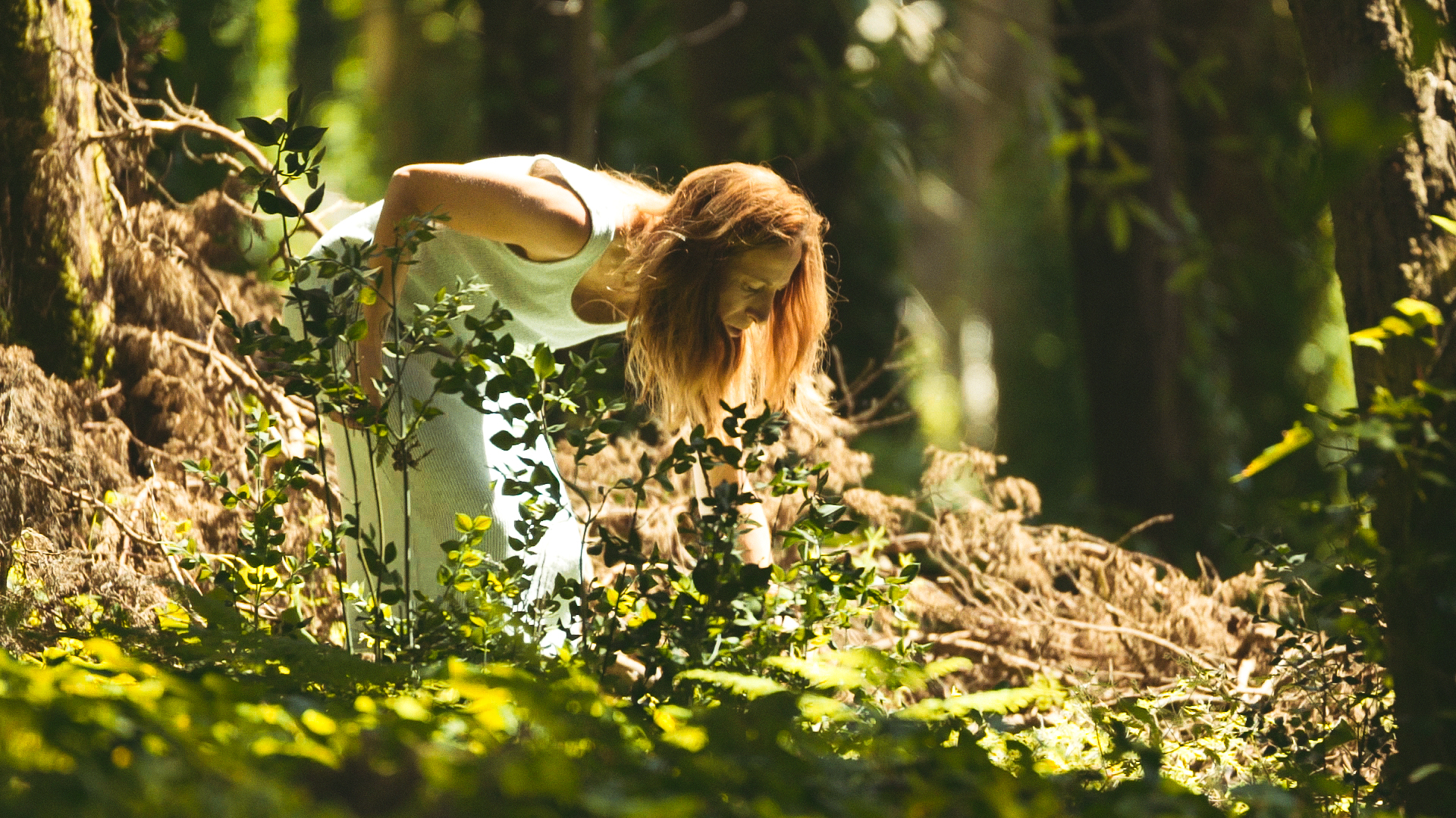 Terapia no meio da floresta? Existe e pode fazê-la já este mês nas caminhadas da Renature
