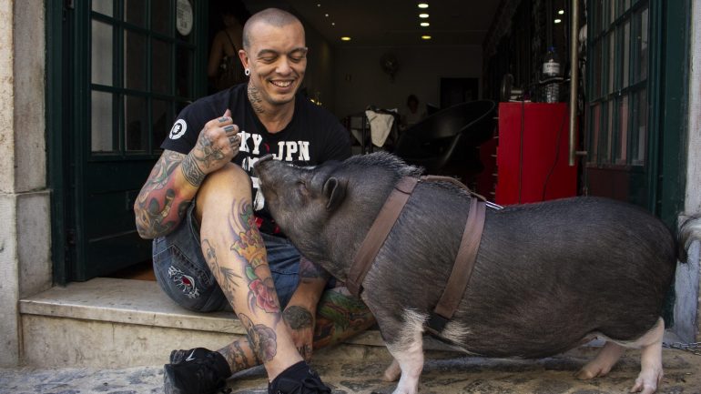 Kako, adotou o Bacon em 2017 e diz que foi a primeira vez que teve um porco na vida