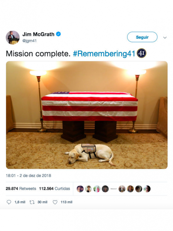 Viral. Cão de serviço de George H.W. Bush fotografado ao lado do caixão