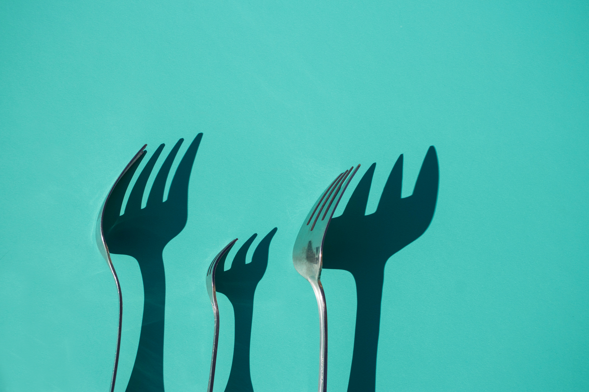 Dietas sem glúten? A soja faz mesmo mal? Nutricionista desvenda 14 mitos atuais da alimentação