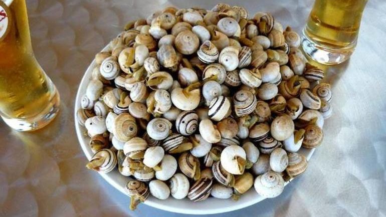 Uma combinação de verão típica, caracóis e cerveja