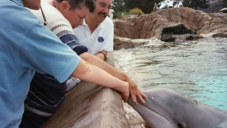 Donna Fierlit tinha 45 anos quando sofreu um aneurisma cerebral