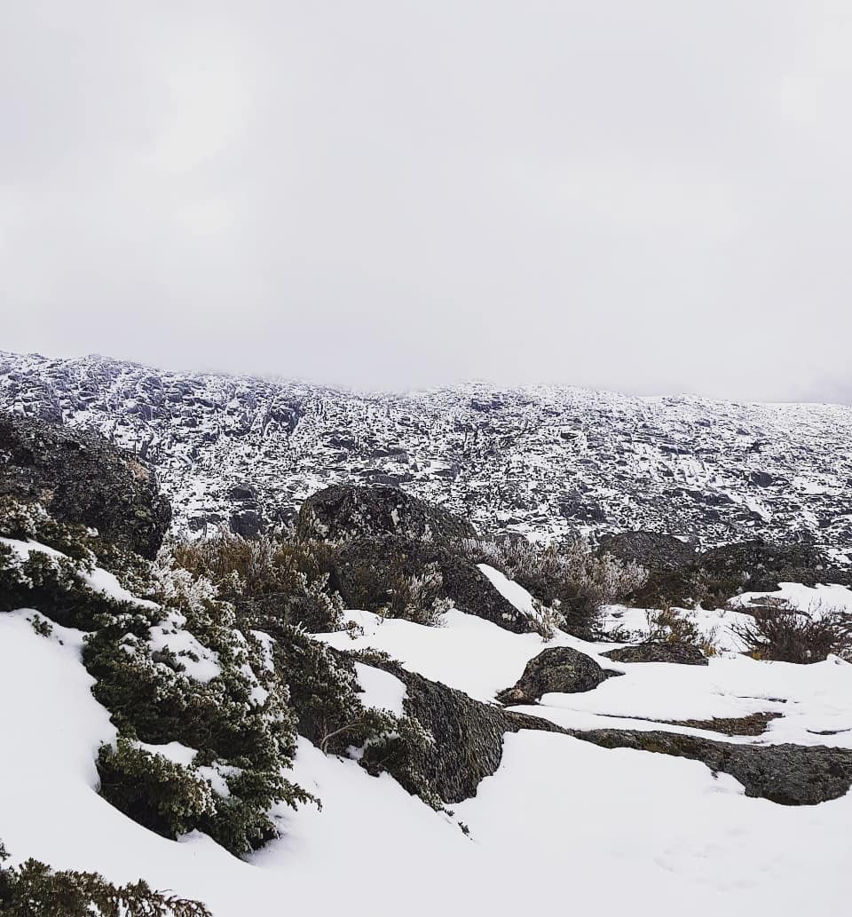 Caíram os primeiros flocos de neve na Serra da Estrela
