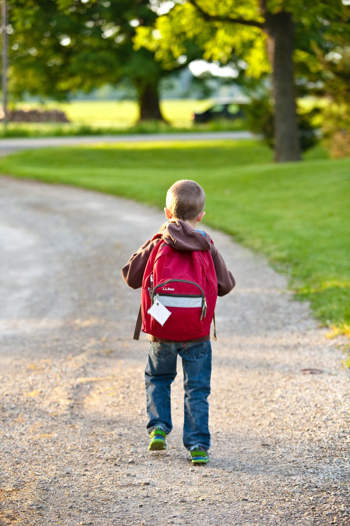 As mochilas pesadas podem causar danos na coluna das crianças. O que fazer?